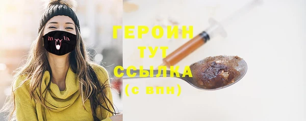 твердый Краснослободск