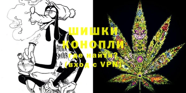 ПСИЛОЦИБИНОВЫЕ ГРИБЫ Алексин