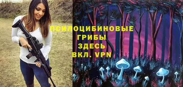 ПСИЛОЦИБИНОВЫЕ ГРИБЫ Алексин