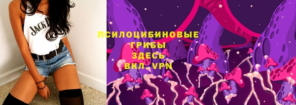 ПСИЛОЦИБИНОВЫЕ ГРИБЫ Алексин