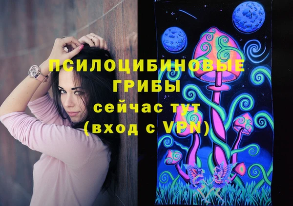 прущая мука Алзамай